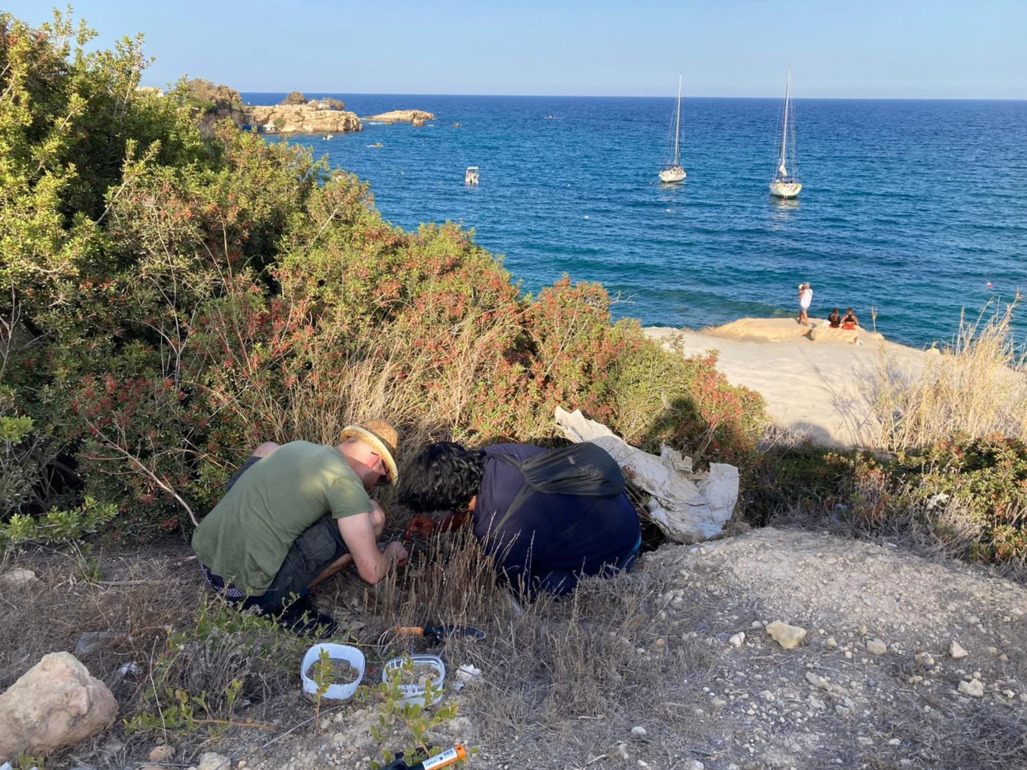 Un grupo de personas sentadas en una roca junto al mar